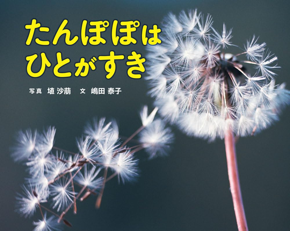 たんぽぽはひとがすき (ふしぎいっぱい写真絵本 40) | 埴 沙萠